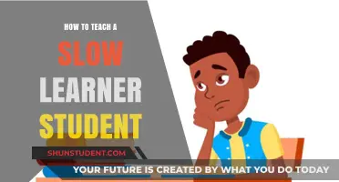 Effective Strategies for Teaching Slow Learners: Patience, Support, and Success