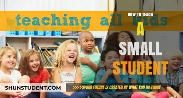Effective Strategies for Teaching Young Learners in Small Settings