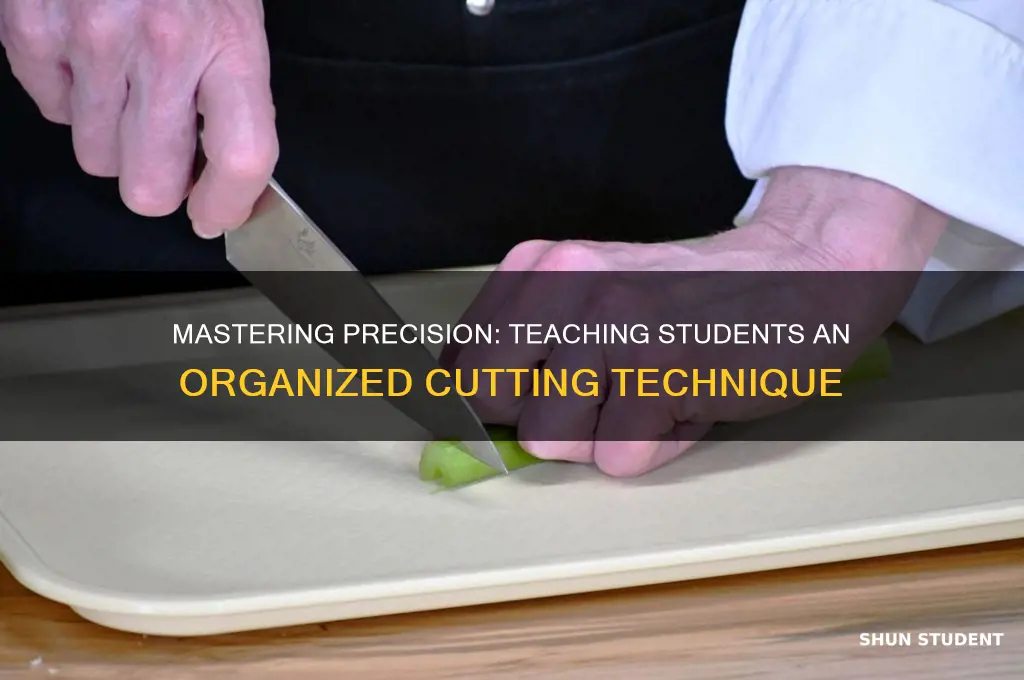 how to teach a student an organized approach to cutting