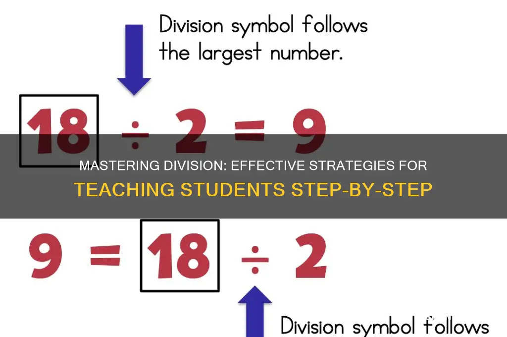 how to teach a student division