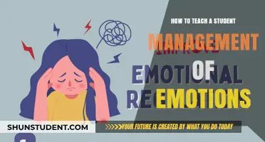 Empowering Students: Effective Strategies for Emotional Management in Learning