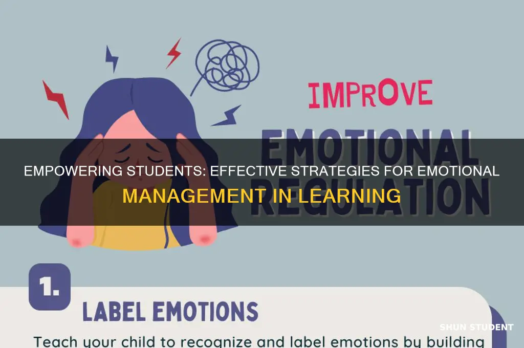 how to teach a student management of emotions