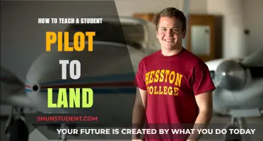 Mastering the Art of Landing: A Guide for Student Pilots