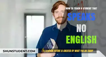 Effective Strategies for Teaching English to Non-English Speaking Students