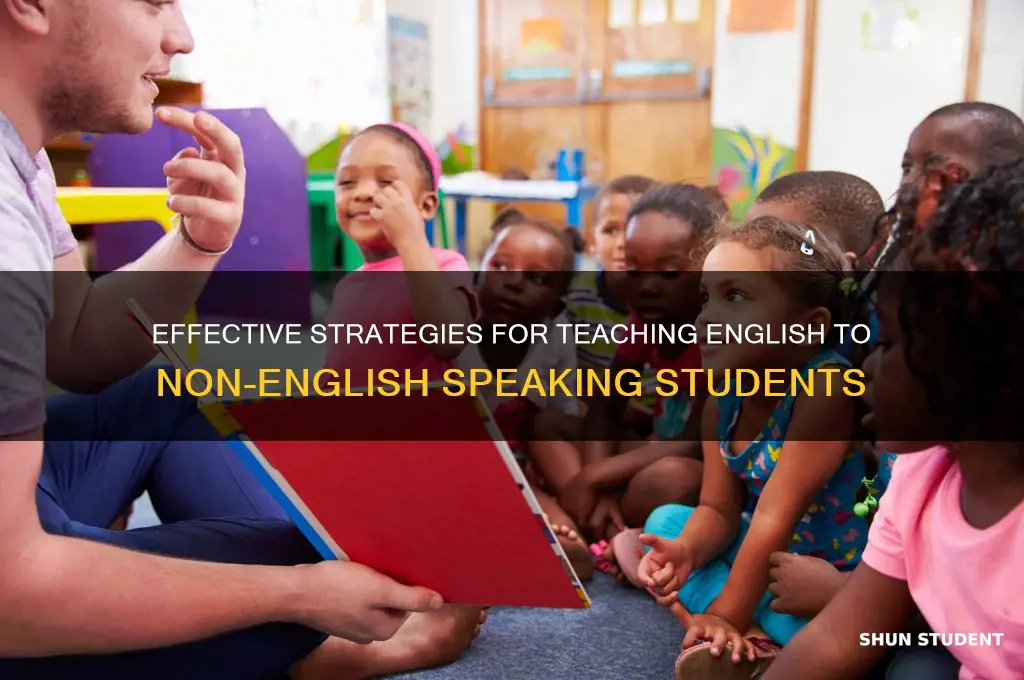 how to teach a student that speaks no english