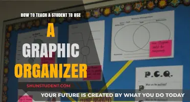 Mastering Graphic Organizers: Effective Teaching Strategies for Student Success