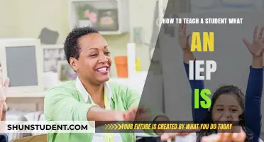 Empowering Learners: A Guide to Teaching Students About IEPs