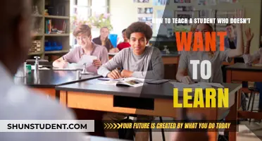Engaging Reluctant Learners: Strategies to Spark Motivation and Curiosity