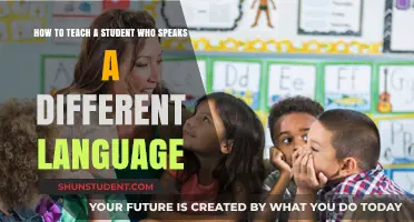 Bridging Language Barriers: Effective Strategies for Teaching Multilingual Students
