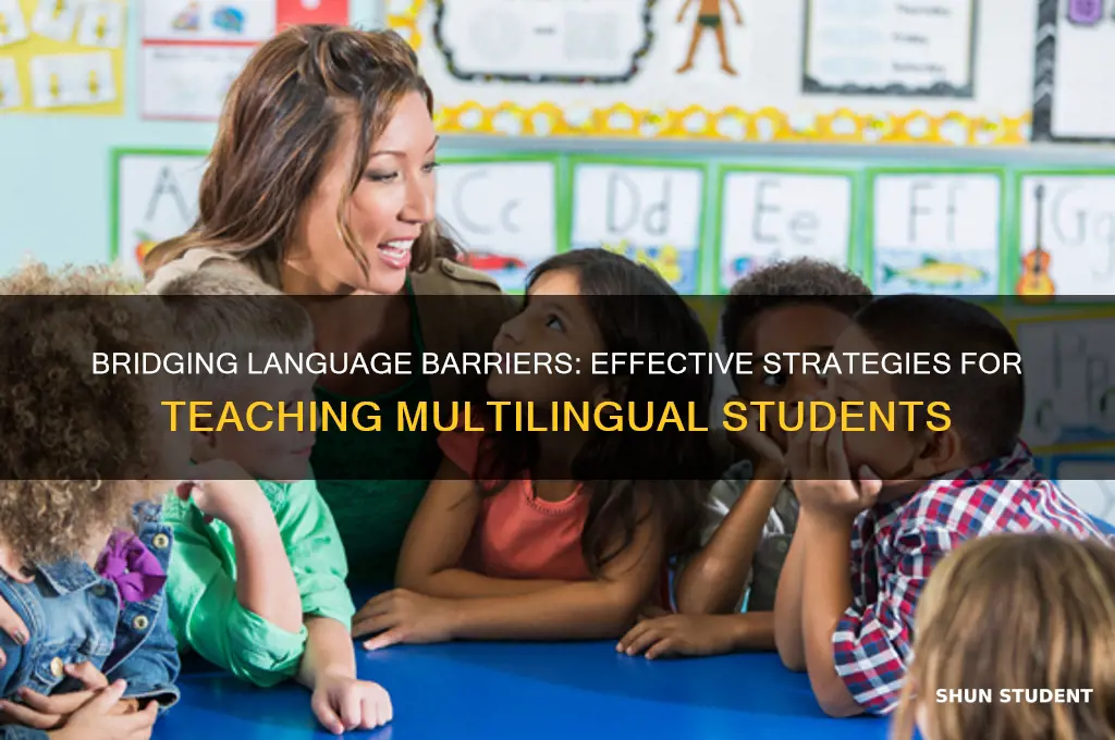 how to teach a student who speaks a different language