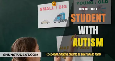 Effective Strategies for Teaching Students with Autism in the Classroom