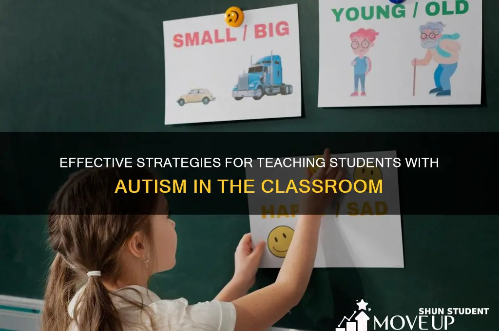 how to teach a student with autism