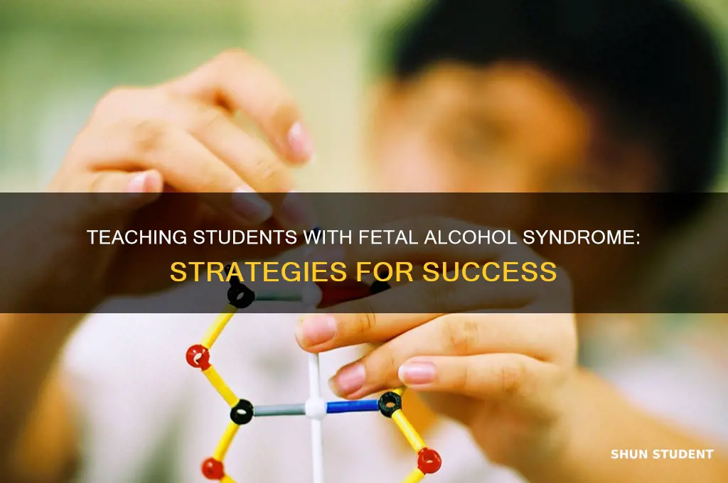how to teach a student with fetal alcohol syndrome