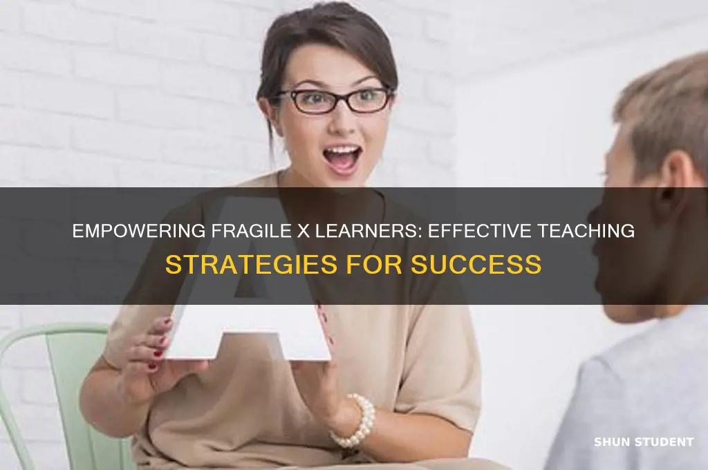 how to teach a student with fragile x syndrome