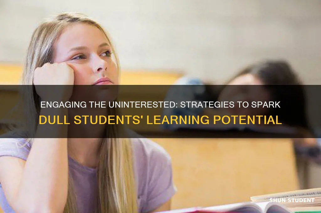 how to teach a very dull student