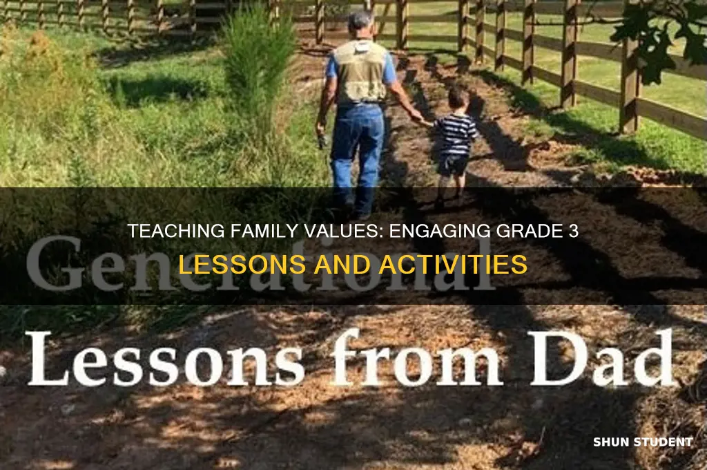 how to teach about family to grade 3 students