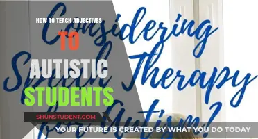 Effective Strategies for Teaching Adjectives to Autistic Learners