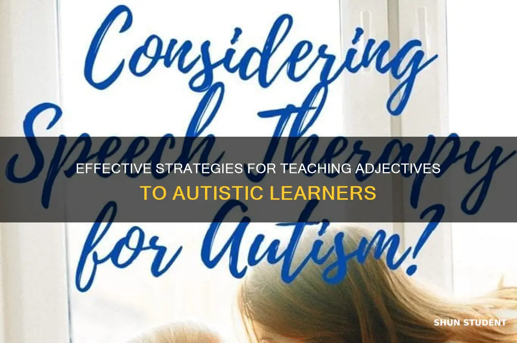 how to teach adjectives to autistic students