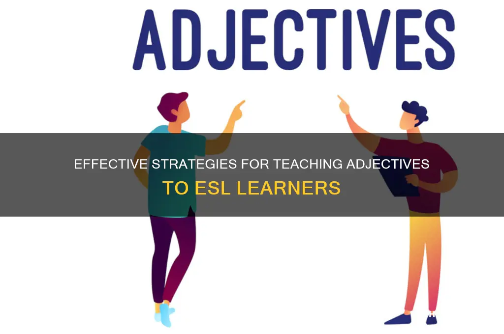 how to teach adjectives to esl students