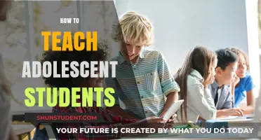 Effective Strategies for Teaching Adolescent Students: Engaging Young Minds