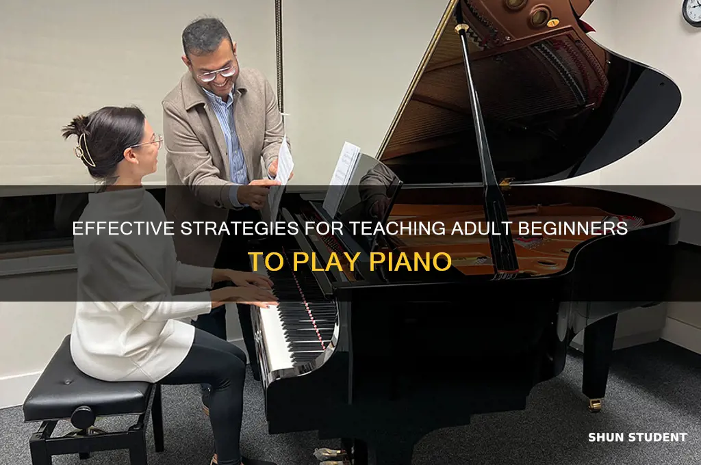how to teach adult beginner piano students
