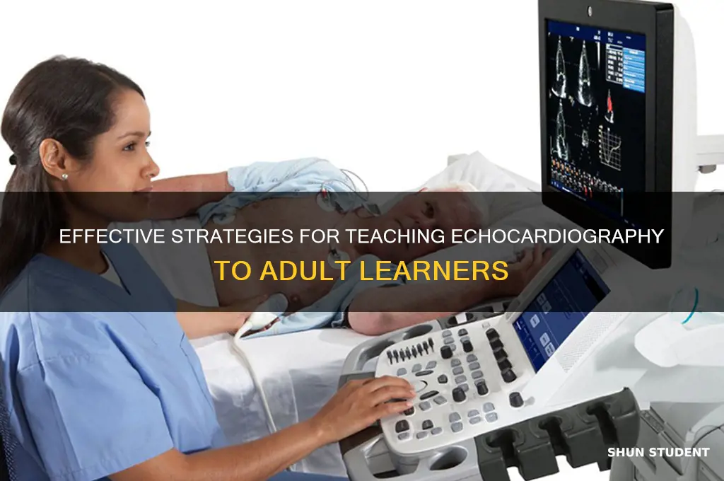 how to teach adult students echocardiography