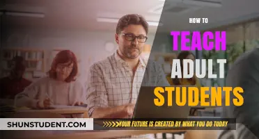 Effective Strategies for Engaging and Teaching Adult Learners Successfully