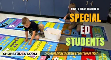 Effective Strategies for Teaching Algebra to Special Education Students