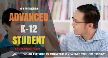 Empowering Advanced K-12 Learners: Strategies for Engaging Gifted Students