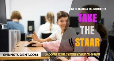 Mastering STAAR: Effective Strategies for Teaching ESL Students