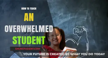 Empowering Overwhelmed Students: Strategies for Effective Teaching and Support