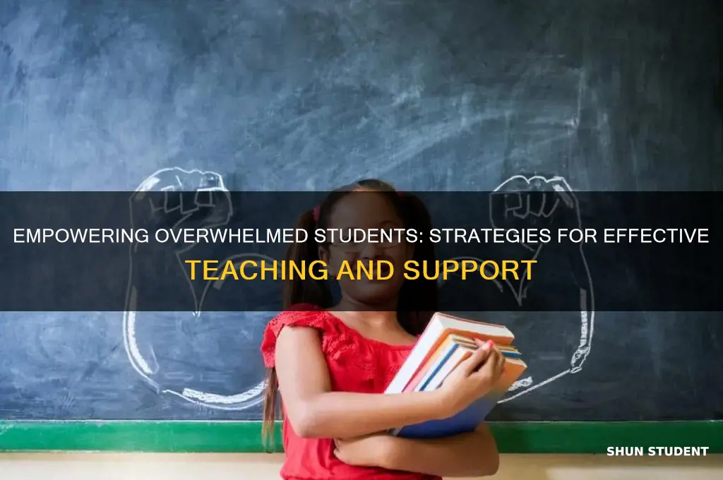 how to teach an overwhelmed student