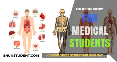 Mastering Anatomy: Effective Teaching Strategies for Medical Students