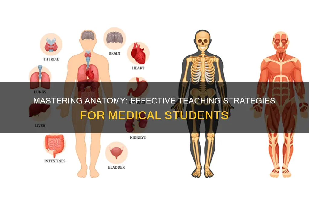 how to teach anatomy for medical students