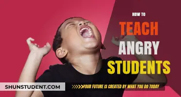 Calming the Storm: Strategies for Teaching Angry Students Effectively