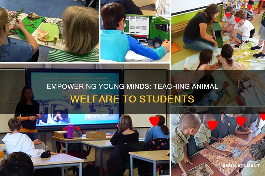 how to teach animal issues welfare to students