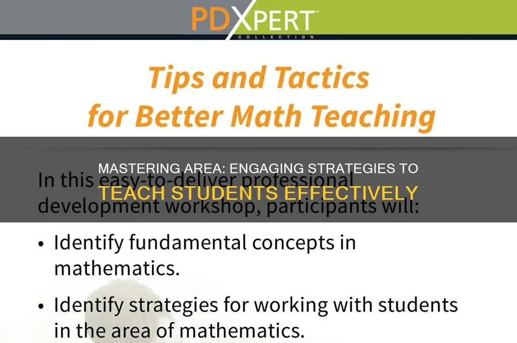 how to teach area to students