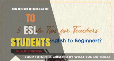 Mastering Articles: A, An, The – Effective ESL Teaching Strategies