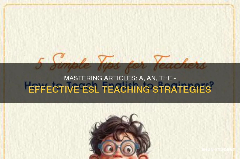 how to teach articles a an the to esl students