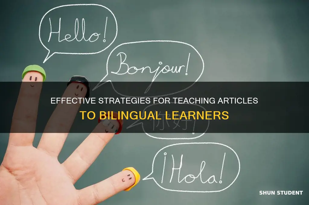 how to teach articles to bilingual students