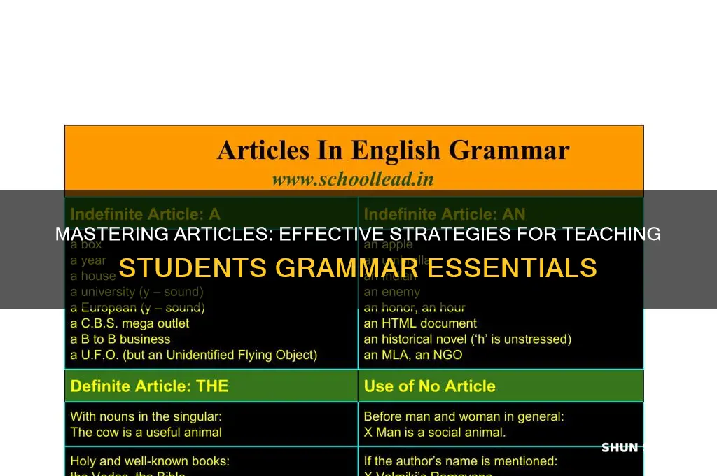 how to teach articles to students