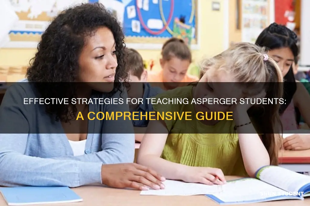 how to teach asperger students