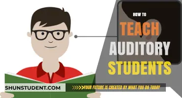 Effective Strategies for Engaging and Teaching Auditory Learners Successfully