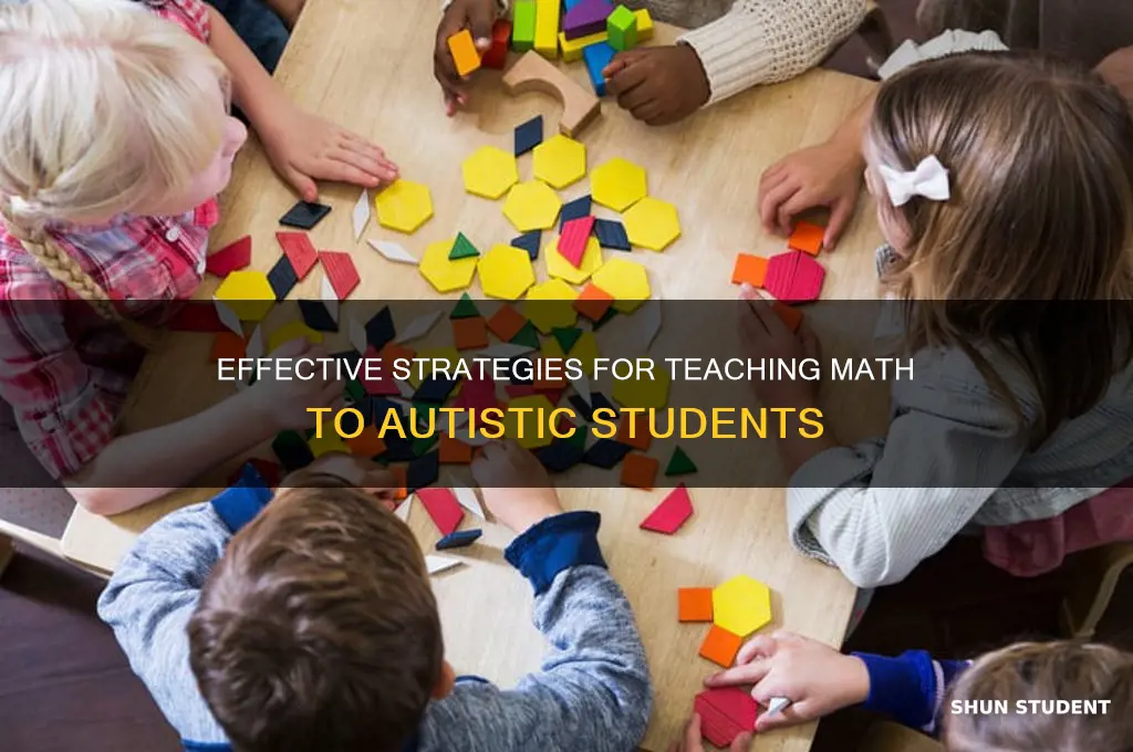 how to teach autistic students math