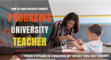 Teaching Autistic Students: University Strategies and Best Practices