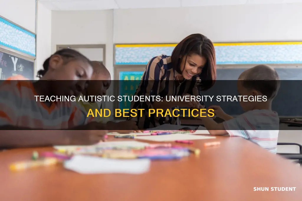 how to teach autistic students programs university teacher