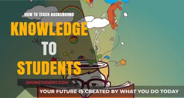 Effective Strategies for Teaching Background Knowledge to Enhance Student Learning