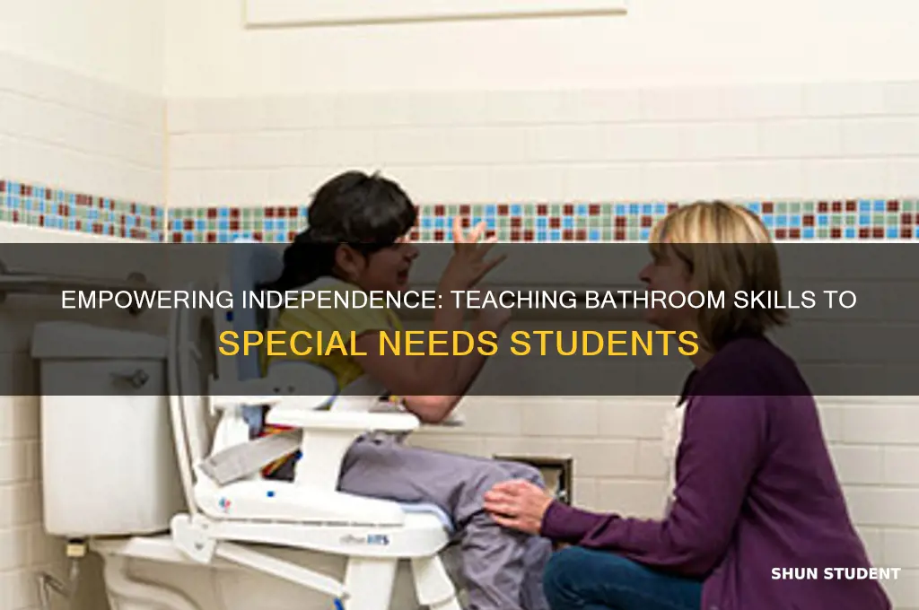 how to teach bathroom functions to students with special needs