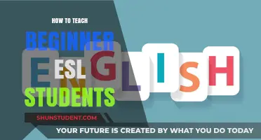 Effective Strategies for Teaching Beginner ESL Students Successfully