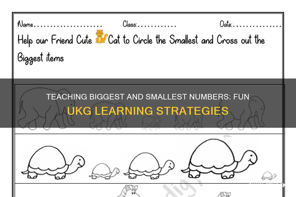 how to teach biggest and smallest number for ukg students